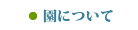 園についてはこちらから